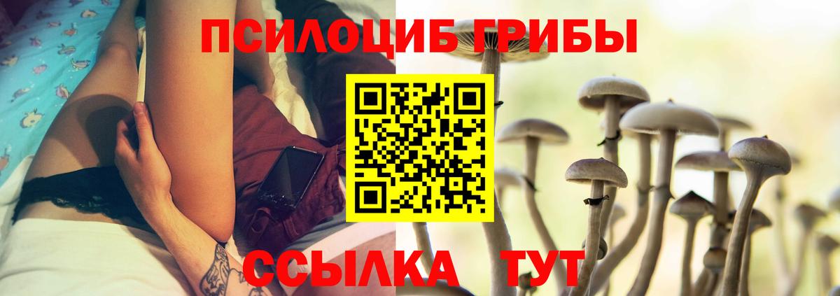 Псилоцибиновые грибы MAGIC MUSHROOMS Новотроицк